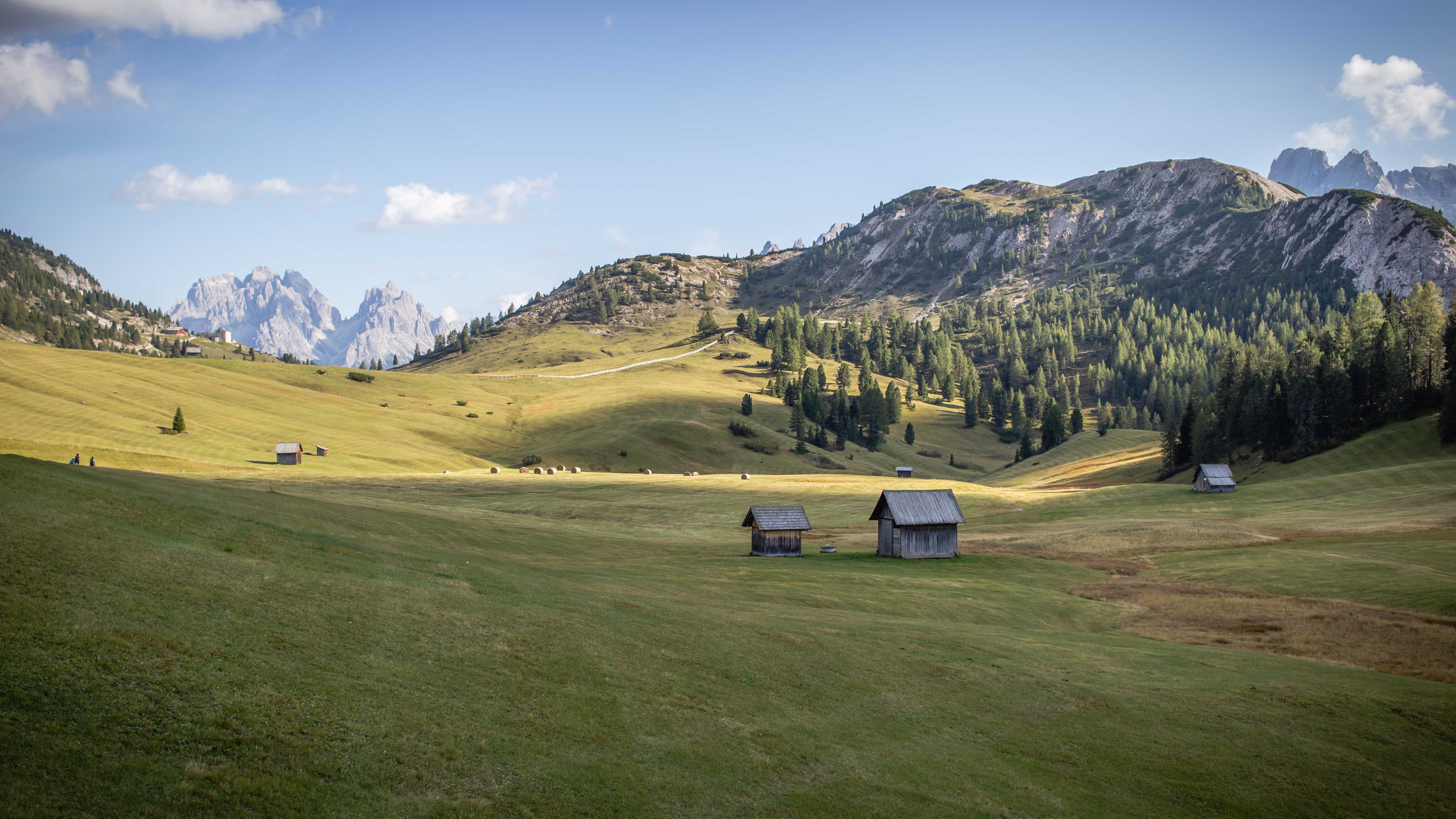 Rhum Arrangés des Alpes Prairie